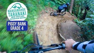 Piggy Bank | Mangamahoe MTB , Taranaki