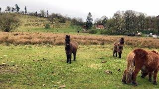 Hiking in Jylland