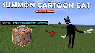 How to Summon Cartoon Cat in Minecraft (COMMAND BLOCK!)