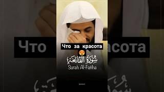 Невероятное, красивое чтениеШейх Раад Аль-Курди #коран #quran #сура #дагестан #таджикистан #иман