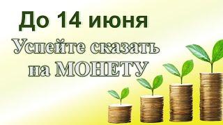 Действенный ДЕНЕЖНЫЙ ритуал на растущую луну. Как привлечь деньги на растущую луну  Ритуал на монету