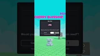 HOW TO GET CHERRY BLOSSOM! #gag #roblox #growagarden #cherryblossom #growagardenupdate