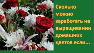 Сколько можно заработать на выращивании домашних цветов если...