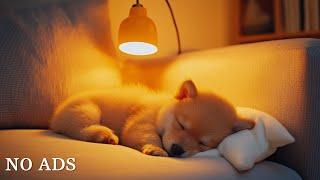 Deep Sleep Music for Dogs  Anti-Anxiety Music for DogsMusic to Help Dogs Sleep After 30 Minutes