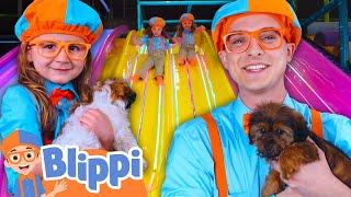 Blippi Explores Puppy Playground With Friends!  |  Blippi and Meekah Best Friend Adventures
