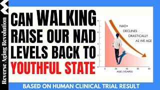 Can WALKING Raise Our NAD Levels Back to YOUTHFUL STATE? | Based On Human Clinical Trial Result