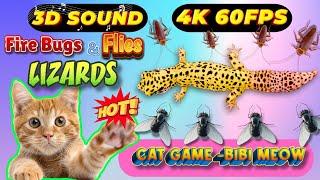 CAT GAMES TOM TV & BiBi | Ultimate Compilation Catching The LIZARDS , Flies, FireBugs11 HOURVol 30