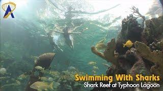 Swimming with sharks inside Shark Reef at Disney's Typhoon Lagoon Water Park