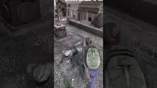 Штирлиц провалился... #shorts #dayz