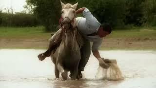 Mi Caballo y yo - Cholo Valderrama