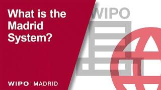 Explained: What is WIPO's Madrid System?