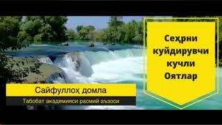 Сехрни ва жинларни куйдирувчи оятлар туплами. Кучли рукия. Сайфуллох домла.