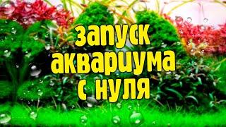 Запуск аквариума с нуля