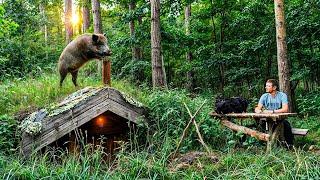 A DUGOUT in THE WILD forest - THE ANIMAL OF THE OBORZEL | THE TEST OF THE cauldron