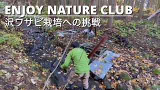 Wasabi cultivation／Prepare for winter and wait for spring【Wasabi series #04】