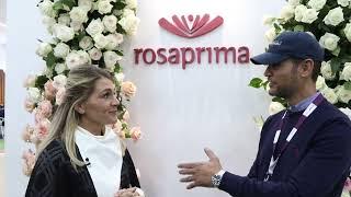 Expo Flor Ecuador 2022 Booth Interview - Rosaprima