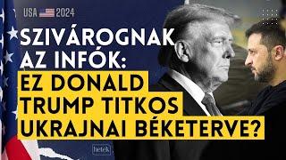 Szivárognak az infók: ez Donald Trump titkos ukrajnai béketerve? | Választás kérdése