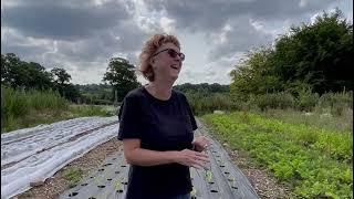 Visit to Root Connections for National Allotments Week