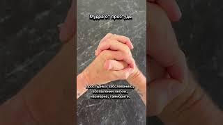 Сильнейшая лечебная МУДРА