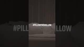 Pillow Fight | #PillowtheWillow