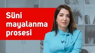 Süni mayalanma prosesi #EgeHospital #SüniMayalanma