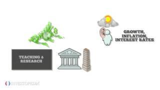 The Difference Between Finance And Economics !