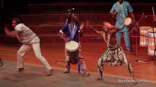 African Drumming Entertainment  Sydney  | 1300 749 846