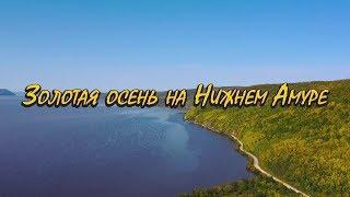 Золотая осень на Нижнем Амуре//beautiful nature of the Amur river//video from drone Mavic 2 Pro