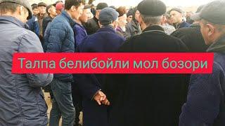 дехконобод мол бозор нархлари белибойли мол бозори