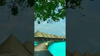 Top 3 Things to Do in the Maldives | Virtual Tour & Relaxing Travel