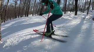 2020 Ski Test - Nordica Enforcer 110 Free Skis