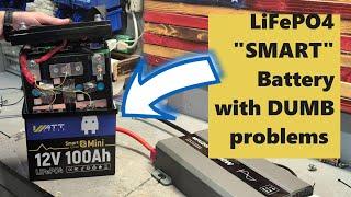 LiFePO4 Powerwall 300 Cycles Later PROBLEMS with Watt cycle Smart mini Battery Home solar DIY