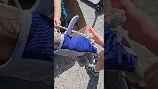 Wait a minute..  #mobilityscooter #yolo #momlife #disabledmom #foryou #shorts