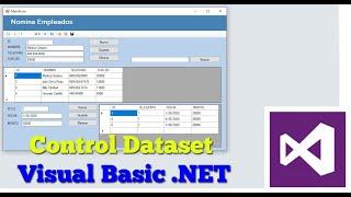 Control Dataset BindingSource y TableAdapter Ms Access Visual Basic  NET