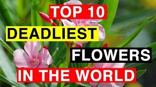 TOP 10 Deadliest Flowers I Toxic I Flowers That Can Literally Kill You I Amazing Facts of World