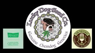 Episode 82 ft SkunkVA of Lucky Dog Seed Co - The Pot Cast - 25/04/23