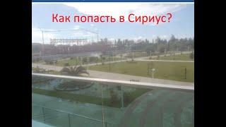 Как попасть в Сириус?