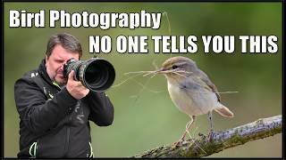 The Truth About Bird Photography No One Shows You