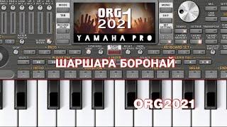 Шаршара Боронай ТУЁНА ORG2021(шаршара боронай гушкн факат лайк)