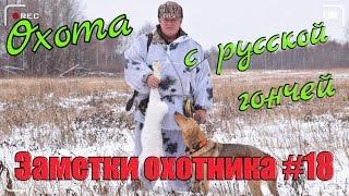 Охота. Заметки охотника #18. За зайцем с русской гончей. Разделка зайца. Hunting in Russia