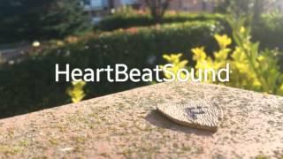 forever young(chantal Desiree cover)(Heartbeatsound remix)