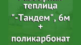 Разборная теплица Агросфера-Тандем, 6м + поликарбонат обзор АГС042 производитель Агросфера (Россия)