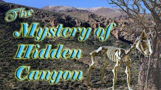 The Mystery of Hidden Canyon: Jack San Felice's True Adventure in the Superstition Mountains