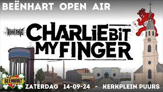 Beënhart Open Air - 14 September 2024 - Charlie Bit My Finger - Punk Rock