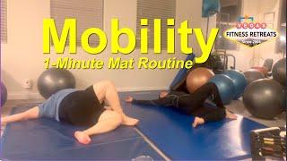 Mat Mobility Routine 1 Minute | Debra Stefan Fitness