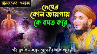 তরিকতের ওয়াজ, মানব দেহটা কি, দেহের কোন জায়গায় কে বসত করে,পীর মুফতি নাজমুল হোসাইন আত তাহেরী, Mridha M