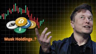 Elon Musk's Secret Crypto Portfolio EXPOSED: Bitcoin, Ethereum and More!