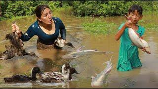 Top survival skills-Catch and cook duck for dinner- Grilled fish for tasty +3food cook and eat