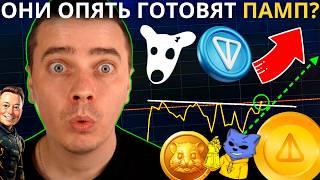 ️MEM DOGS, NOTCOIN, HMSTR, CATS, X IMPIRE, TONCOIN ️ ОПЯТЬ ГОТОВЯТ К МОЩНОМУ РОСТУ! НЕ УПУСТИ ШАНС