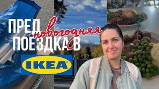 поездка в IKEA на один день в Австрии #lifestyle #vlog #европа